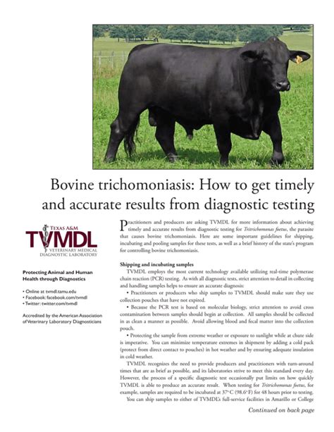 Bovine Trichomoniasis How To Get Timely And Accurate Results From