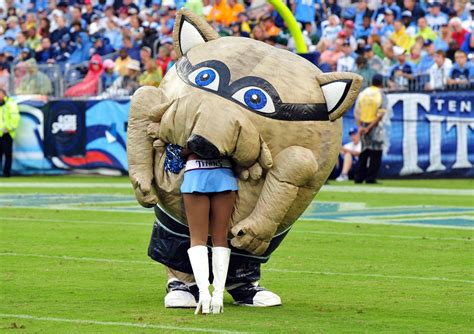 Nfl Mascots Names images