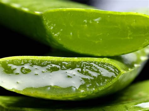 Benefits Of Aloe Vera Tooth Gel For The Beautiful Teeth