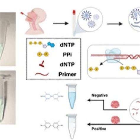 Nanozyme Based Colorimetric Method For Naked Eye Diagnosis Of COVID 19