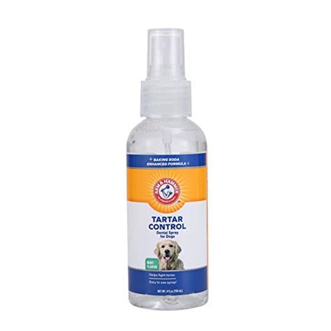 Best Dog Teeth Cleaning Products Review [ 2022 ] Where To Buy Them!