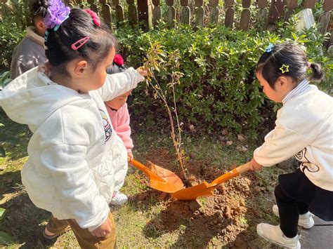 德清县第二实验幼儿园开展植树节活动