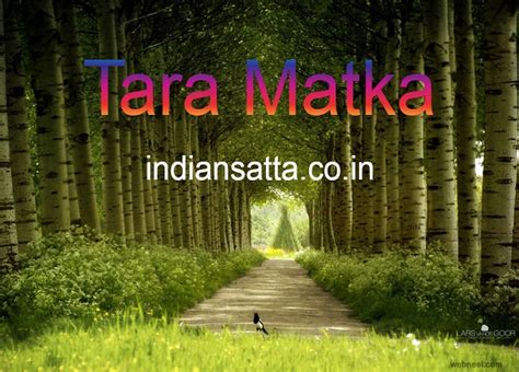 Tara Matka By Indian Satta On Dribbble