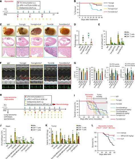 Clinical Drug Screening Reveals Clofazimine Potentiates The Efficacy