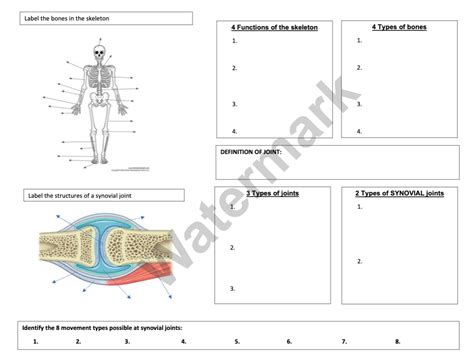 Cambridge Igcse Pe Topic Anatomy Physiology Knowledge Organisers