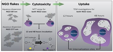 Ijms Free Full Text Graphene Nanomaterials Synthesis