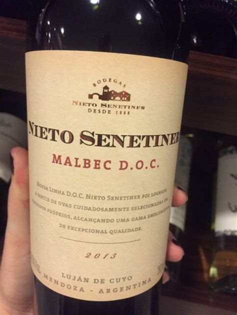 Vinhos Malbec Argentinos Que Vale A Pena Conhecer Artofit