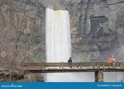 Gente De Pie En El Puente Tomando En Cuenta Las Cascadas En El Parque