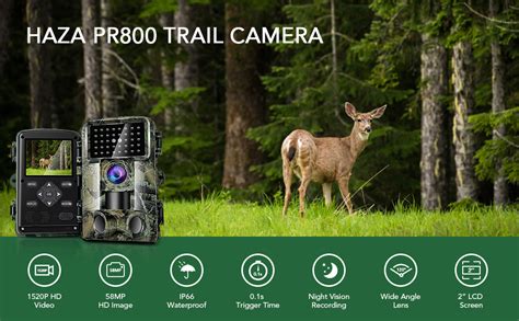 Amazon Haza Trail Camera Mp Huge Screen Hd Game Hunting