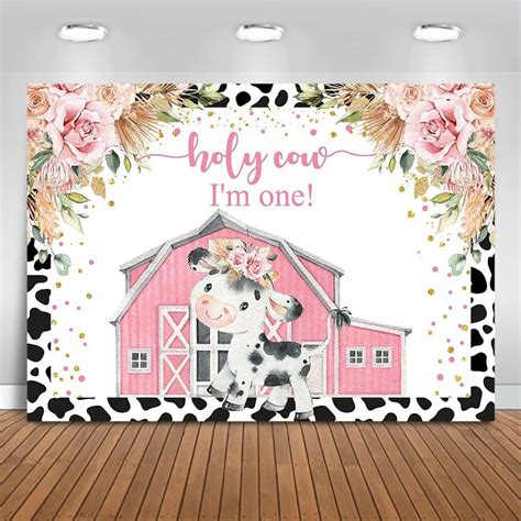 Amazon MEHOFOND Holy Cow I M One Backdrop Boho Pink Floral Girls