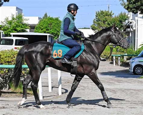 【pog】アブソルティスモ 藤沢和師期待の良血 半兄はレイデオロ競馬・レースデイリースポーツ Online