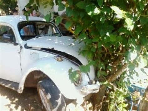 G Motorista Embriagado Bate Fusca Em Rvore E Cinco Ficam Feridos No