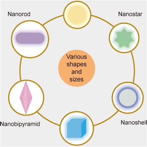 Different Sizes And Shapes Of Aunps The Sizes And Shapes Of Aunps Can Download Scientific