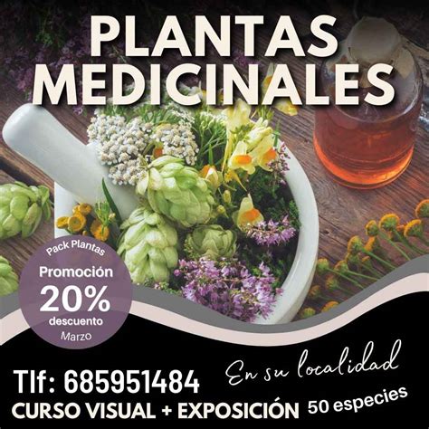 Curso de plantas medicinales para asociaciones Incluye Exposición de