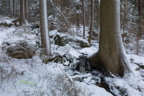 Park Narodowy Gór Stołowych wodospady Tyrnklawy 1801 00020C