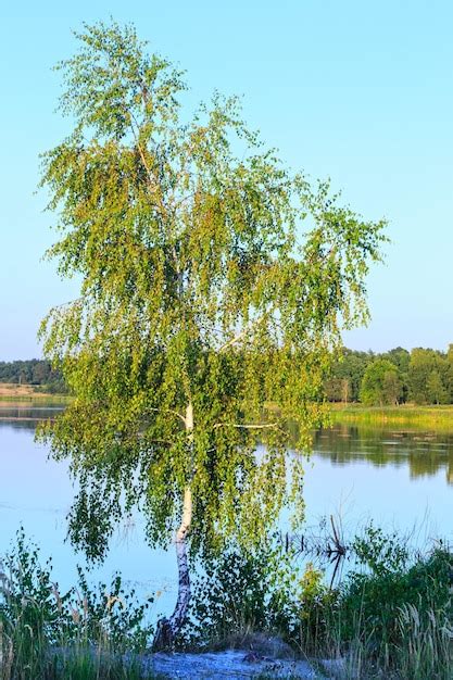 Paisagem do lago de verão à noite reflexos na superfície da água e