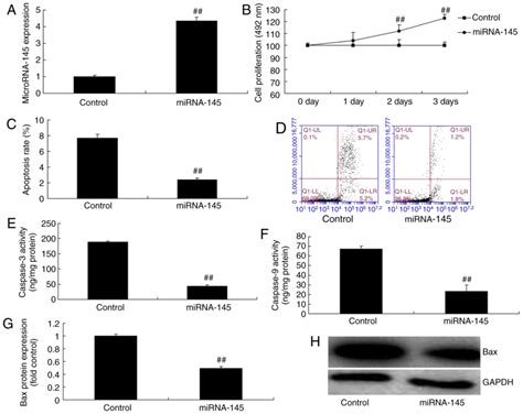 Mirna Inhibits Myocardial Infarctioninduced Apoptosis Through