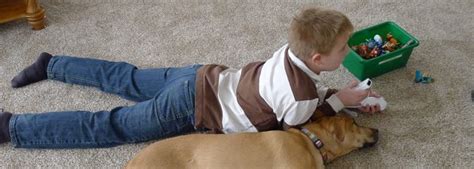 Lowe's STAINMASTER Carpet Installation in our Living Room - Akron Ohio Moms