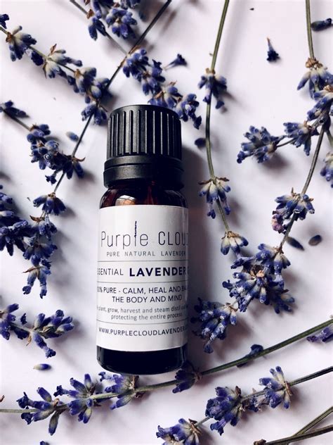 Lavender Essential Oil - Lavender Oil Benefits - Purple Cloud Lavender