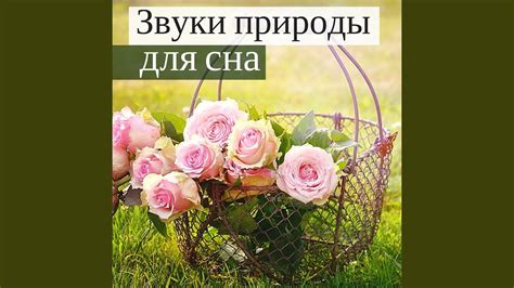 Колыбельные песни для детей - YouTube Music