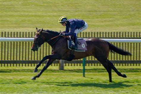 2000 Guineas 2023 Tips And Runners Guide For Newmarket Oddschecker