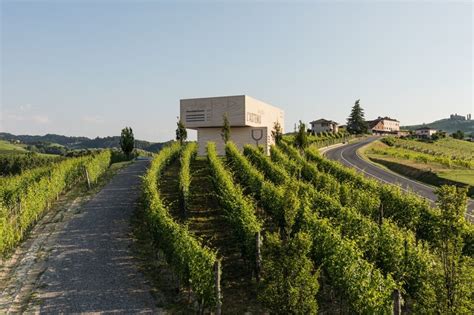These 23 Italian Vineyards Are the Most Beautifully Designed Wineries ...