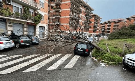 Roma Maltempo Albero Caduto All Arco Di Travertino Foto