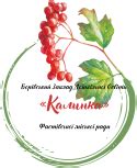 Головна - Борівський заклад дошкільної освіти "Калинка"