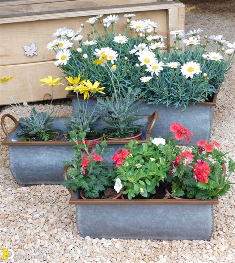 Unique And Creative Garden Container Ideas You Never Thought Of