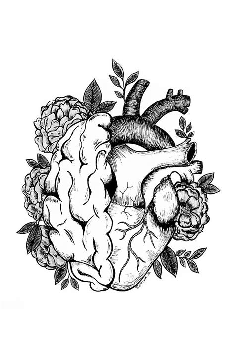 Dibujo corazón y cerebro