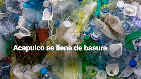 COCHINOS En Acapulco Guerrero la vía pública no deja de llenarse