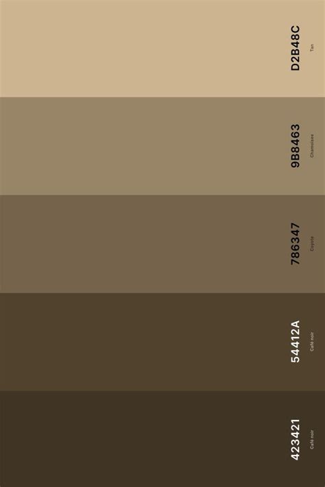 25 Best Tan Color Palettes With Names And Hex Codes【2024】