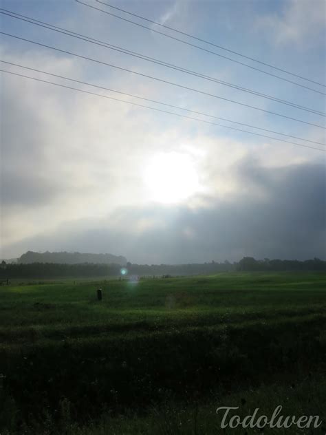 Early Sunday Morning