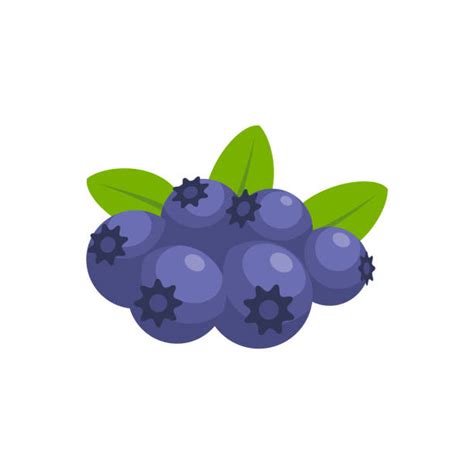 9,600+ Blueberry Cartoon Stock Illustrations, Royalty-Free Vector ...