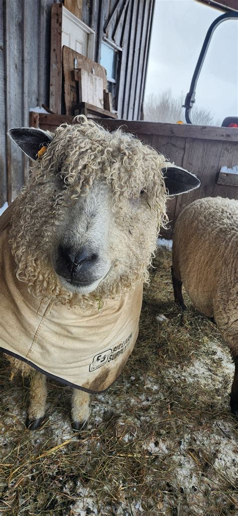 East Meets West Family Farm
