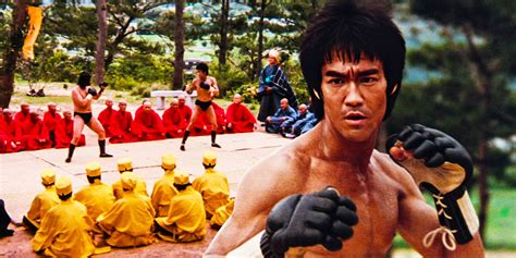 Enter The Dragon Summary Trailer Cast And More