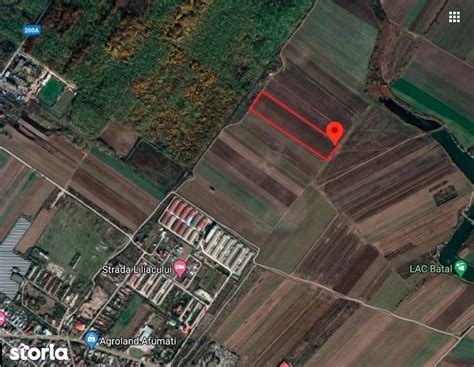 10 000 m² teren de vanzare Ilfov judet Afumati 3018789