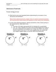 Npb 101 Worksheet 2 Key Pdf My Name Is And I Will Make Sure To Do