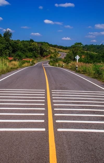 Camino sinuoso a través de un bosque que conduce a un túnel carretera