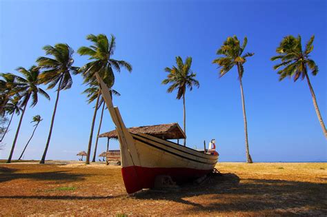 Beach Coconut Cottages Grass Ocean Palm Resort Sand Seascape