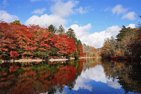 度假勝地日本輕井澤遊玩攻略－星野、雲場池、王子outlet 新魅力輕井澤旅遊行程