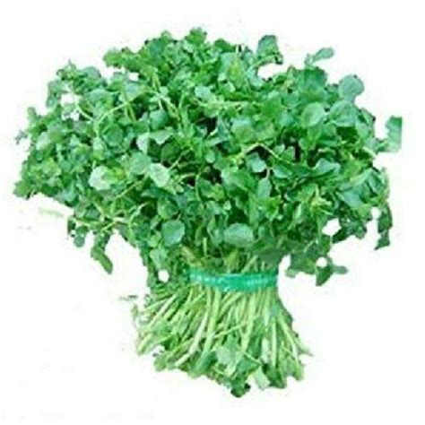 500 Seeds Cress Pepper Cress Herb Vrz Seeds E528 Fresh And Non Gmo Patio Lawn