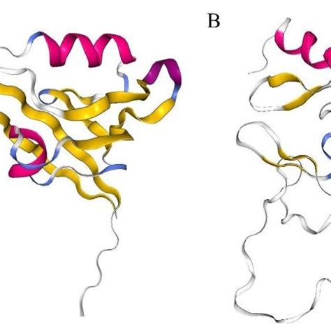 Crystal Structure Of Human Pdz Domain And Lim Domain A The Pdz