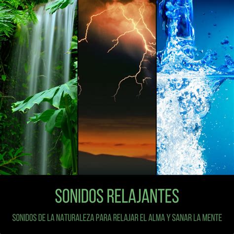 ‎sonidos Relajantes Sonidos De La Naturaleza Para Relajar El Alma Y