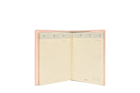 Agenda De Bureau Rechargeable En Cuir 2020 Nude Cuir Lisse