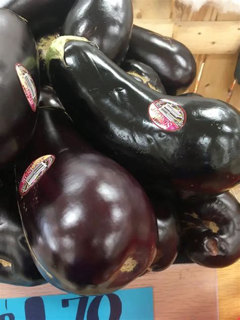 Trader Joe S Eggplant Grown In Usa Trader Joe S Reviews