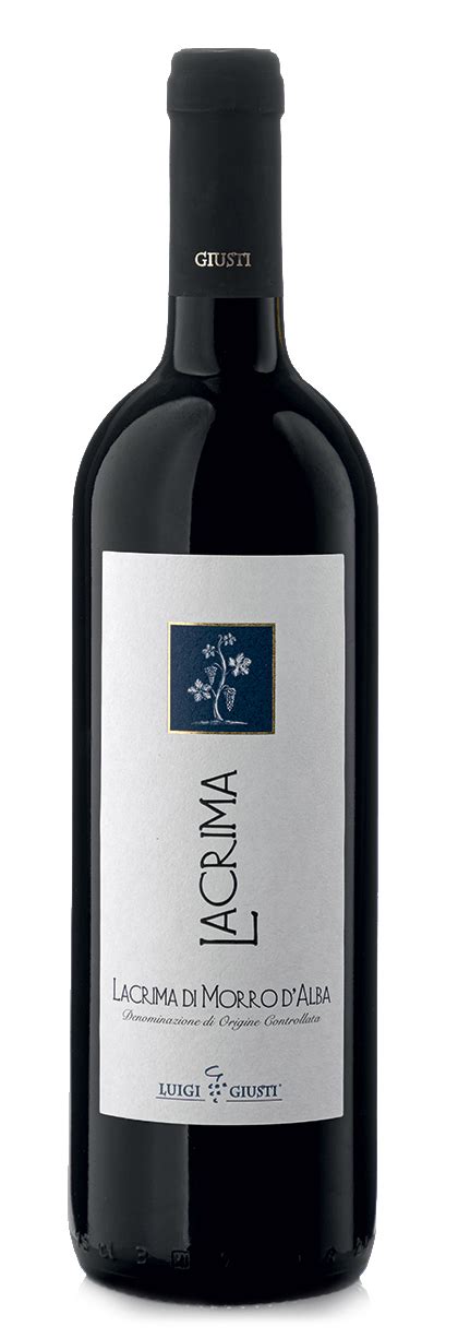 Lacrima Di Morro Dalba Vinity Wine Company