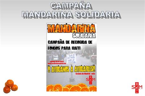 Campa A Mandarina Solidaria Ppt Descargar