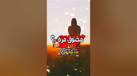 انسه وانسه ذكراه 😔🖤ستوريات انستا حزينه 💔 ️حالات واتس اب 💞💙 Youtube