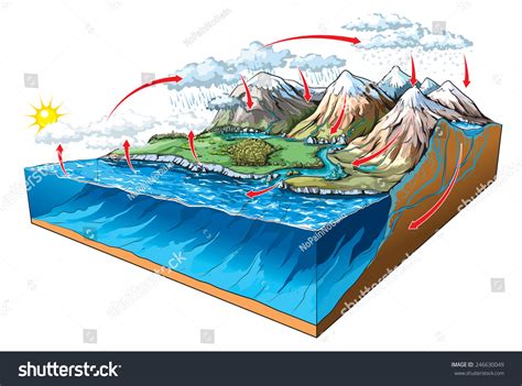 Water Circulation On Earth Stock Vector (Royalty Free) 246630049 ...